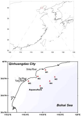 Distinct Seasonal Patterns of Bacterioplankton Abundance and Dominance of Phyla α-Proteobacteria and Cyanobacteria in Qinhuangdao Coastal Waters Off the Bohai Sea